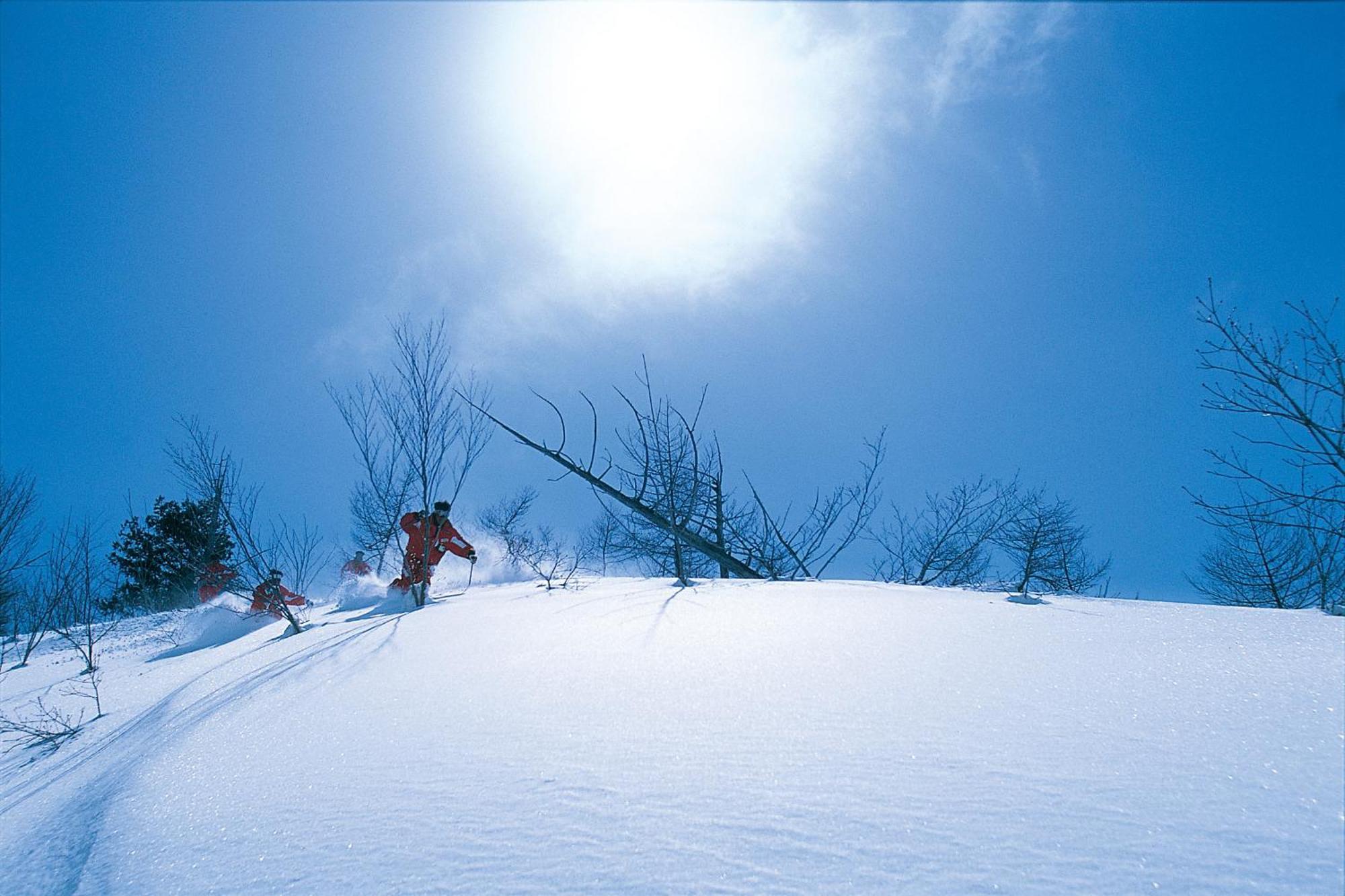 Community House Tyrolien Hotel Hakuba Ngoại thất bức ảnh